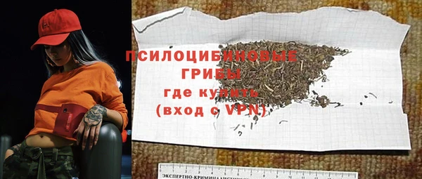прущий лед Богородицк